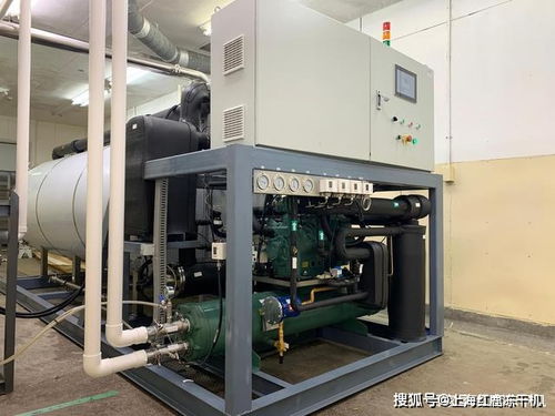 高效生产，品质保障 实拍10平方米宠物食品冻干机与计算机软硬件设备批发一体化解决方案